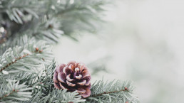 Ebrington Village Hall Xmas Events